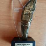 Nagroda "Złoty Prym" dla Miejskiego Przedszkola nr 9.
