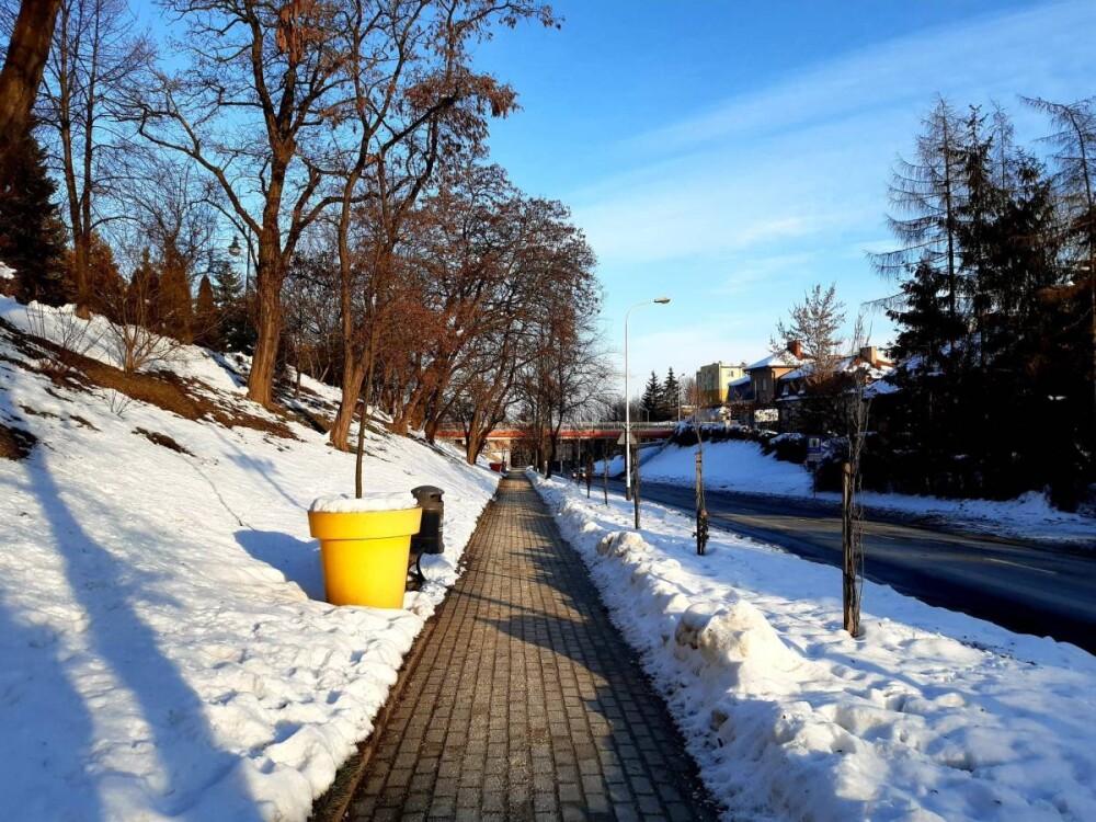 Zimowe utrzymanie dróg i chodników