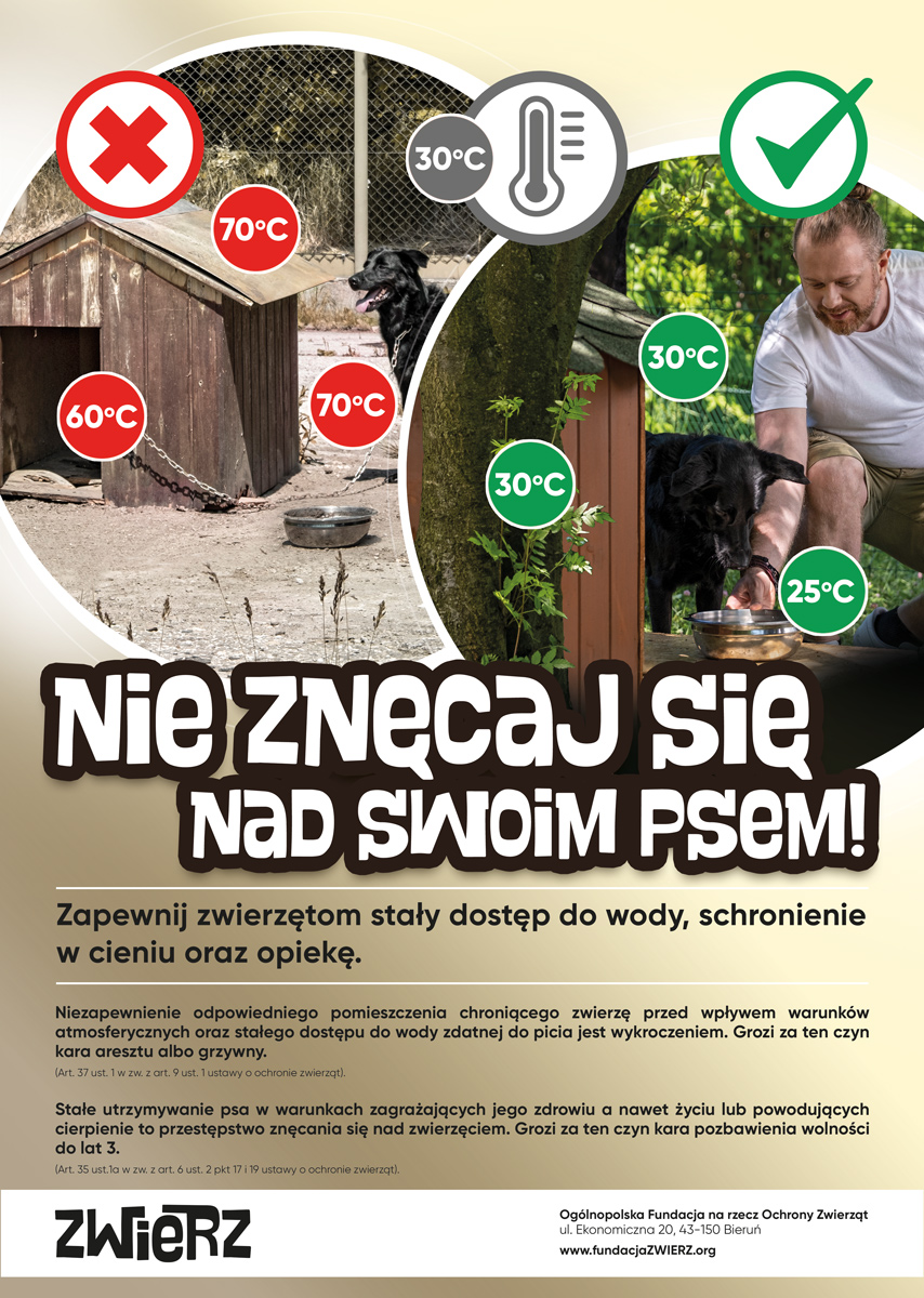 Plakat - Nie znęcaj się nad swoim psem