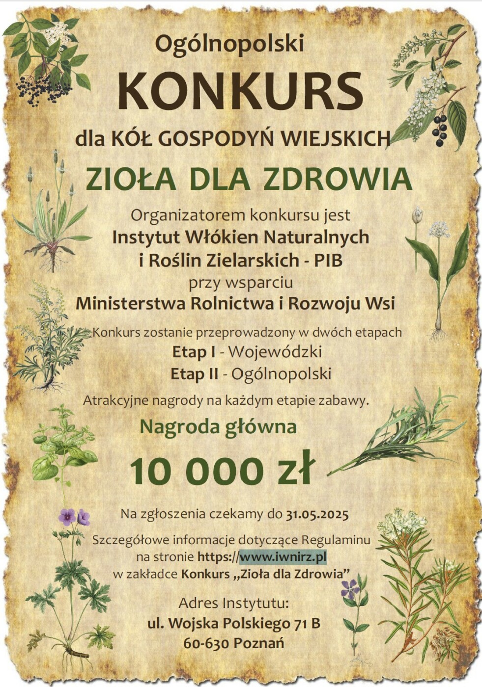 Zioła dla Zdrowia - konkurs