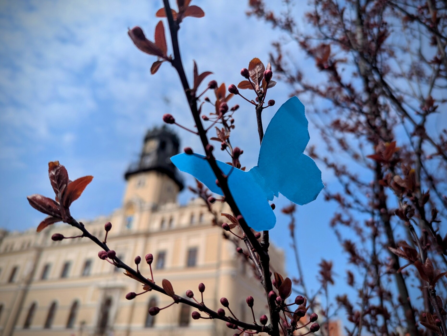 Błękit, który łączy w&nbsp;Światowym Dniu Świadomości Autyzmu - niebieski motyl na&nbsp;gałązce na&nbsp;tle ratusza
