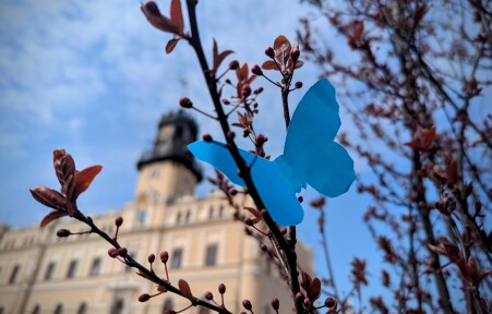 Błękit, który łączy w&nbsp;Światowym Dniu Świadomości Autyzmu - niebieski motyl na&nbsp;gałązce na&nbsp;tle ratusza