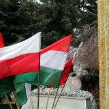 Fragment kopijnika z polskimi i węgierskimi flagami w tle