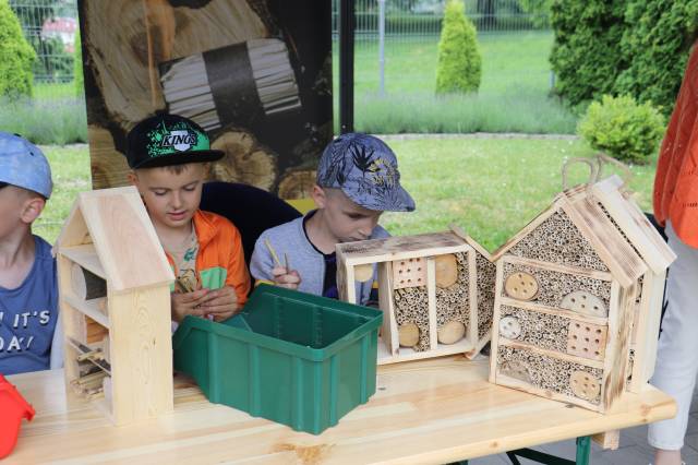 budowa domków dla pszczół